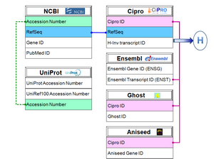 Gene ID Converter